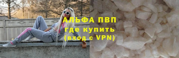 индика Волоколамск