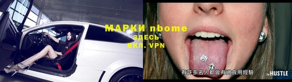 индика Волоколамск
