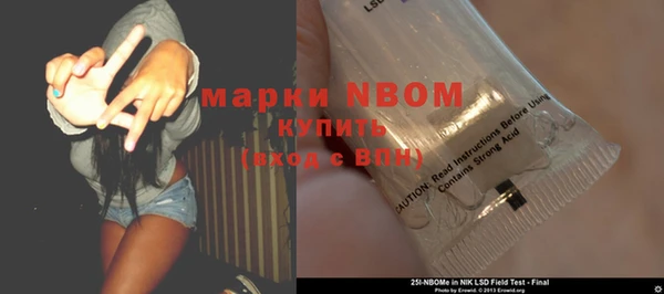 индика Волоколамск