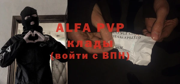индика Волоколамск