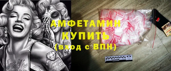 индика Волоколамск
