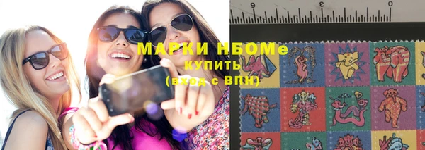 индика Волоколамск