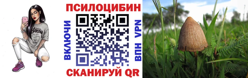Галлюциногенные грибы Psilocybine cubensis  купить наркотик  Ермолино 